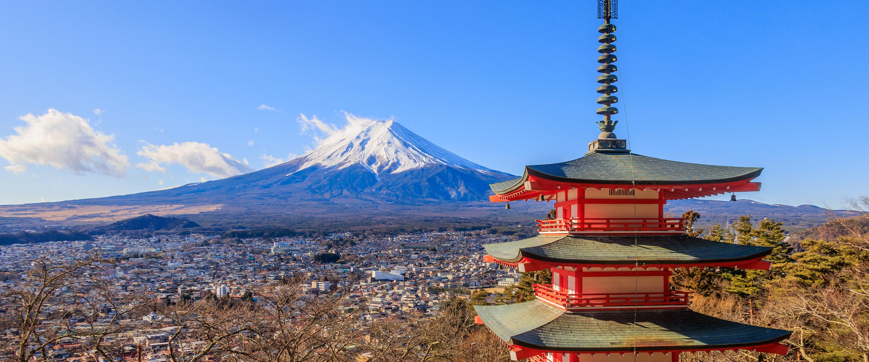 japan-land-operator