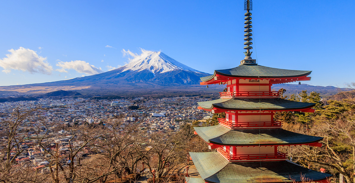 旅行サービス手配業